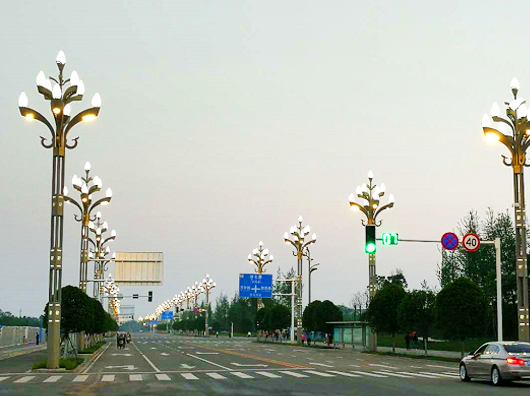 龙里玉兰灯工程1.jpg
