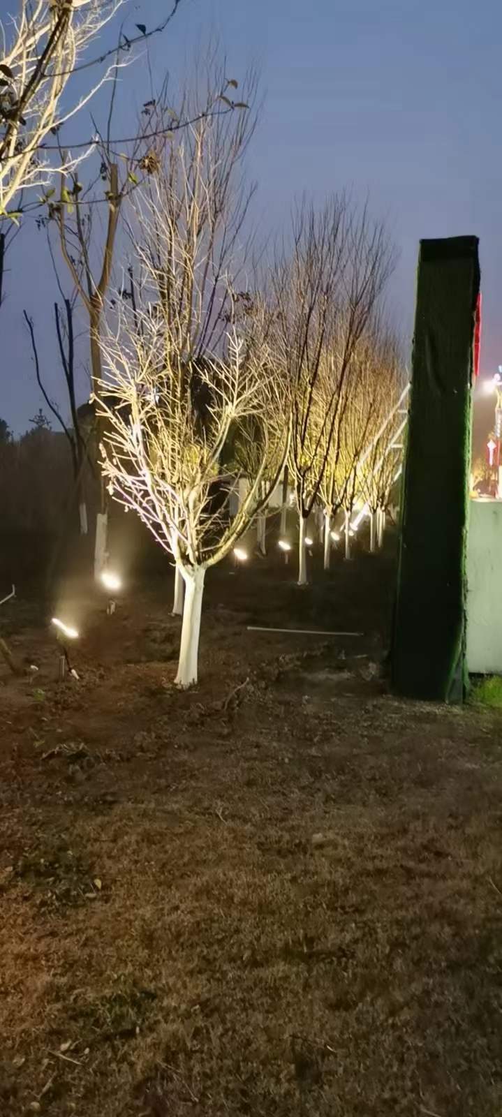 常德西洞庭工程实拍，洗墙灯，投光灯，点光源4.jpg