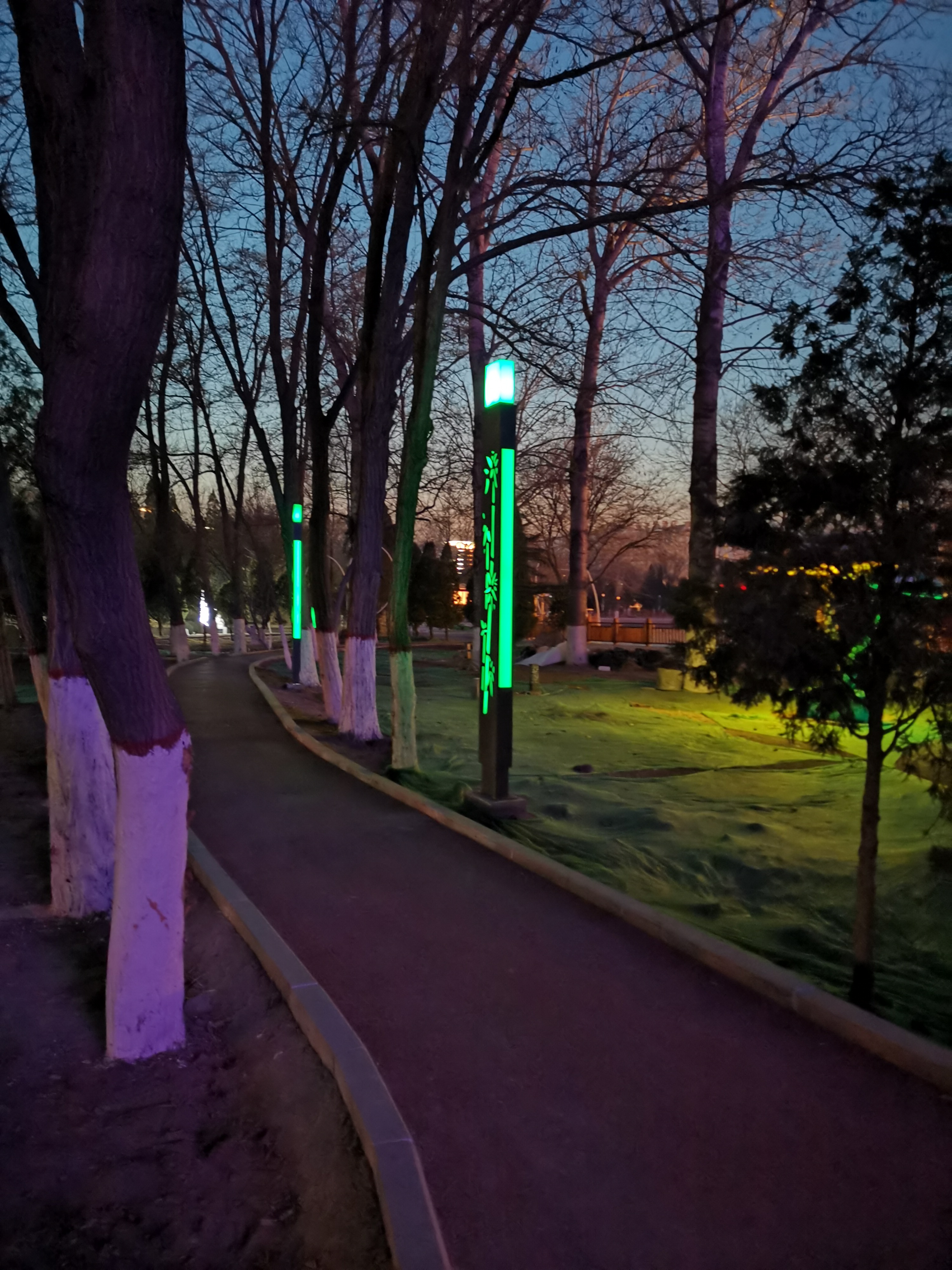 IMG_20191213_181304(1).jpg