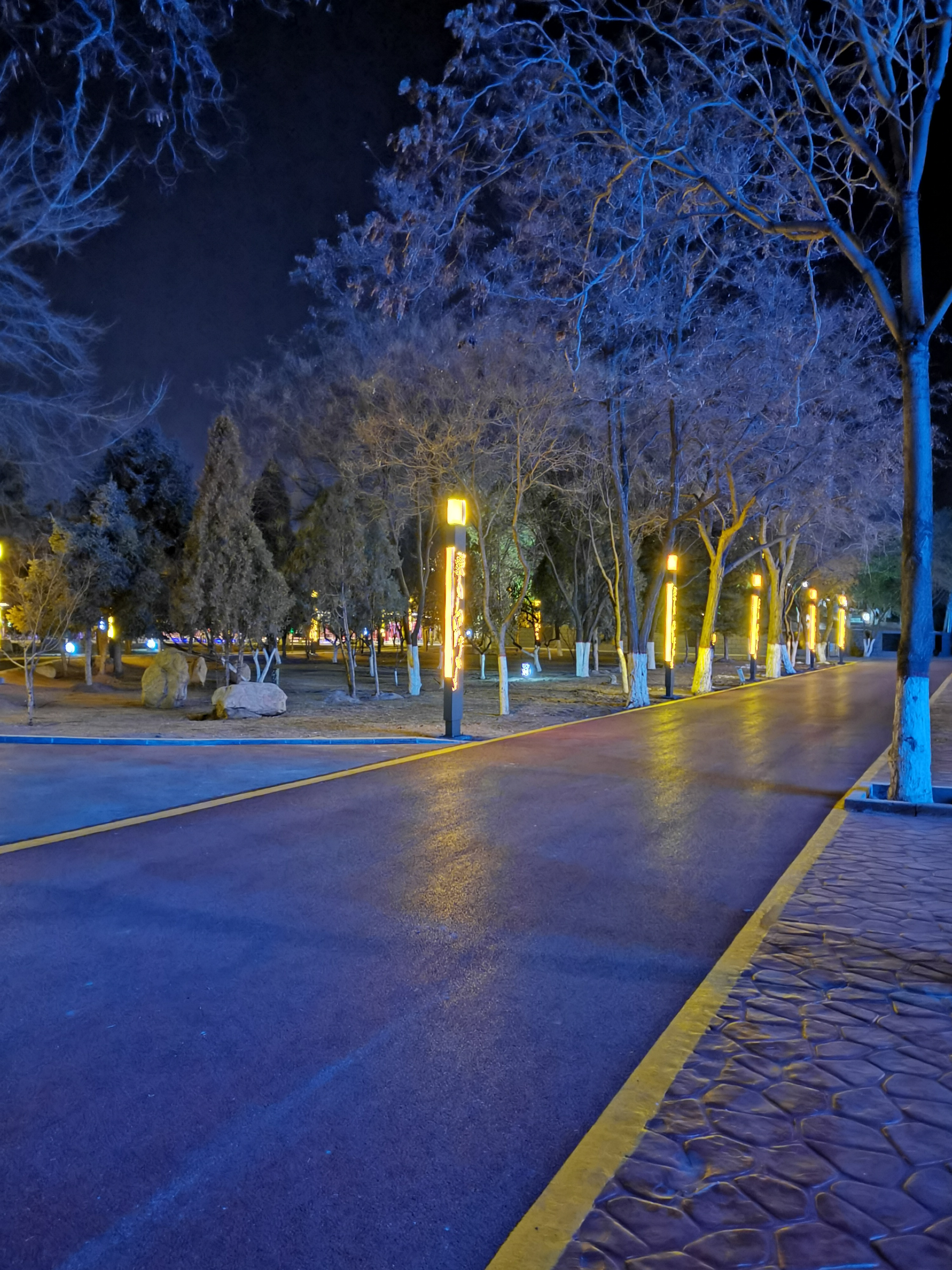 IMG_20191226_192925(1).jpg