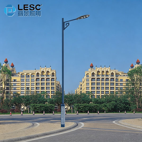 LED道路灯-LESC-DL0006