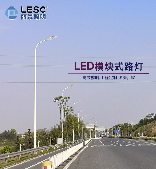 LED道路灯-LESC-DL0004