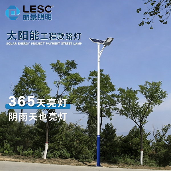 太阳能路灯-雄鹰-02.jpg