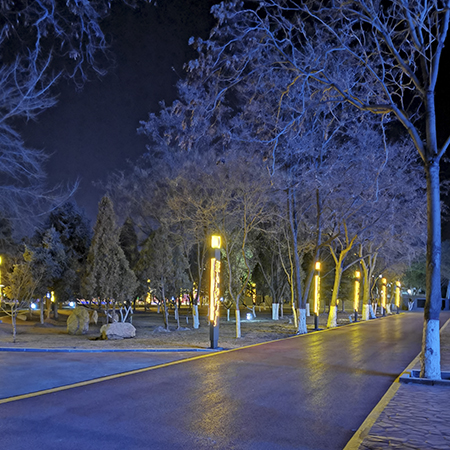 IMG_20191226_192925(1).jpg